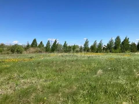 Участок, 8.5 сот., поселения (ижс)