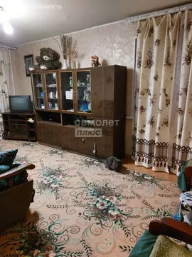 2-комнатная квартира: Фряново, Первомайская улица, 17 (43 м)