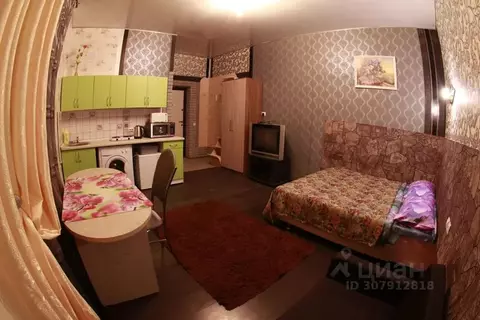 Студия Смоленская область, Смоленск проезд 8-й Досуговский, 4 (30.0 м)