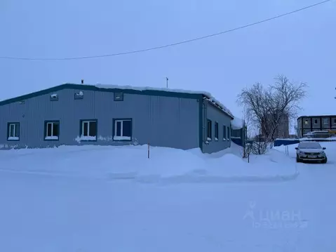 Помещение свободного назначения в Ямало-Ненецкий АО, Новый Уренгой ...