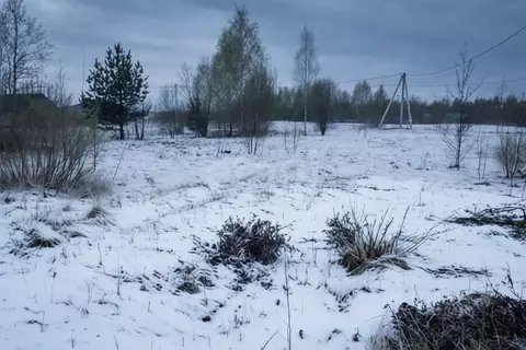 Участок в Ярославская область, Некрасовское рп  (12.0 сот.)