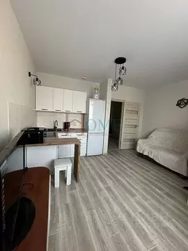 2-к кв. Новосибирская область, Новосибирск Красный просп., 331/2 (40.0 ...