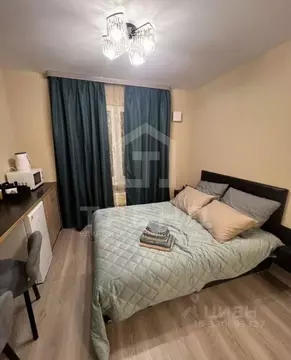 Студия Санкт-Петербург ул. Пахомовская, 10к3 (20.7 м)