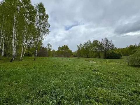 Участок в Московская область, Коломна городской округ, с. Подберезники ...