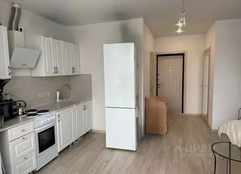 Студия Московская область, Ивантеевка Пушкинский городской округ, ...