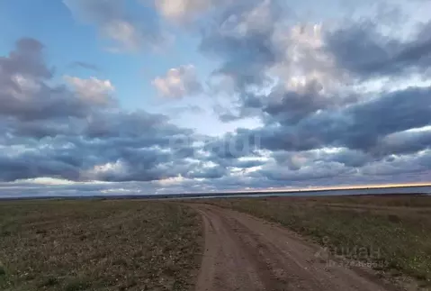 Участок в Крым, Черноморский район, Оленевское с/пос, с. Оленевка  ...
