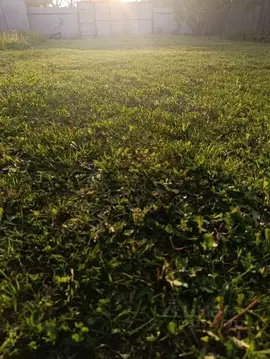 Участок в Московская область, Одинцовский городской округ, д. Мамоново ...