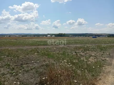 Участок в Краснодарский край, Новороссийск городской округ, ...