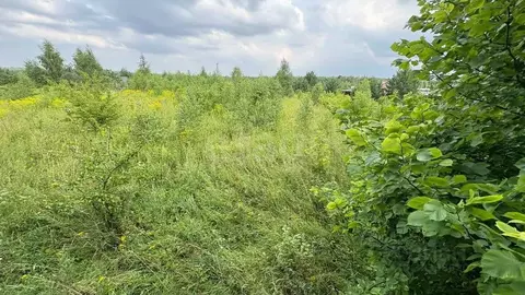 Участок в Московская область, Серпухов городской округ, д. Сенькино ...
