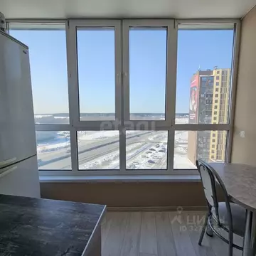 Студия Тюменская область, Тюмень ул. Новоселов, 115 (20.0 м)