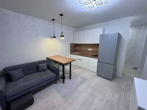 Студия Воронежская область, Воронеж ул. Хользунова, 66 (16.9 м)