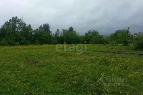 Участок в Новосибирская область, Ордынский район, с. Новопичугово ...