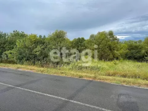 Участок в Белгородская область, Алексеевский муниципальный округ, с. ...