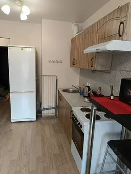 Студия Ленинградская область, Мурино Всеволожский район, бул. ...