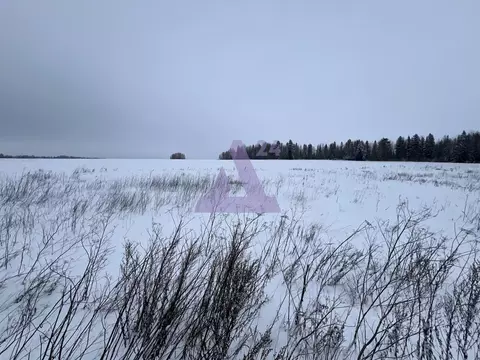 Участок в Пермский край, Пермский муниципальный округ, Придорожный ...