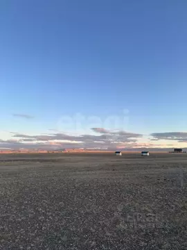 Участок в Алтай, с. Кош-Агач пл. Ленина (11.0 сот.)