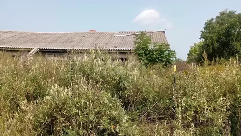 Помещение свободного назначения в Хабаровский край, Хабаровский район, ...