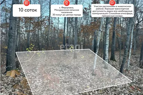 Участок в Хабаровский край, Хабаровский район, Мичуринское с/пос, с. ...