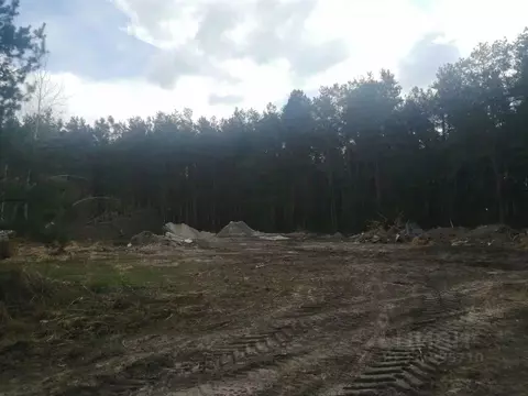 Участок в Брянская область, Навлинский район, Синезерское с/пос, д. ...