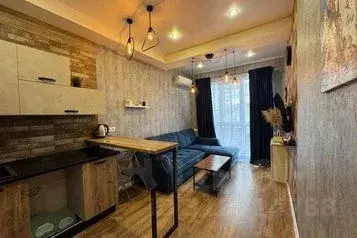 1-к кв. Краснодарский край, Сочи Ландышевая ул., 12Д (35.0 м)