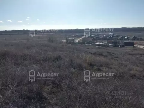 Участок в Волгоградская область, Средняя Ахтуба рп ул. Степана Разина ...