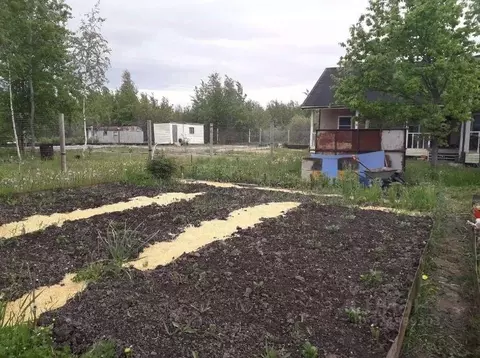 Участок в Новгородская область, Новгородский район, Панковское ...