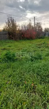 Участок в Новосибирская область, Искитимский район, Мичуринский ...