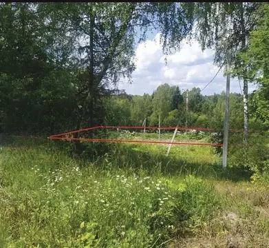 Участок, 24 сот., поселения (ижс)