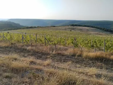 Участок в Севастополь с. Верхнесадовое, ул. Севастопольская, 1 (3.5 ...