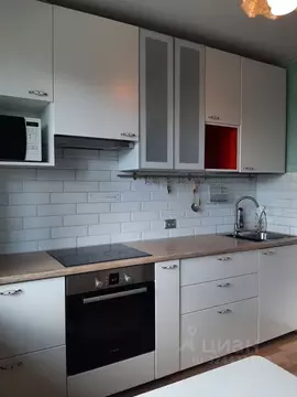 2-к кв. Санкт-Петербург Стародеревенская ул., 26К1 (58.0 м)