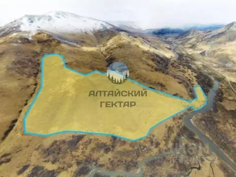 Участок в Алтайский край, Солонешенский район, с. Солонешное  (250.0 ...