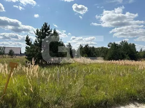 Участок в Брянская область, Брянский район, Новодарковичское с/пос, д. ...