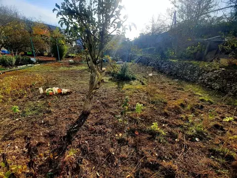Участок в Севастополь Эра-1 садоводческое товарищество, ул. Полковника ...