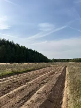 Участок в Московская область, Раменский муниципальный округ, Опушкино ...