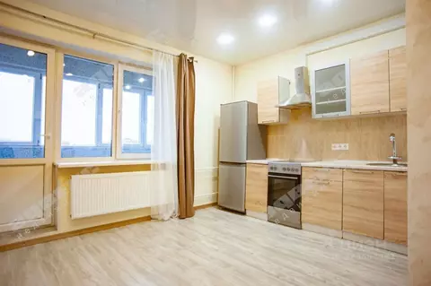 Студия Санкт-Петербург просп. Королева, 69 (25.6 м)