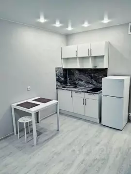 1-к кв. Санкт-Петербург пос. Шушары, просп. Новгородский, 4 (25.0 м)