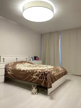 2-к кв. Москва Реутовская ул., 4 (50.0 м)