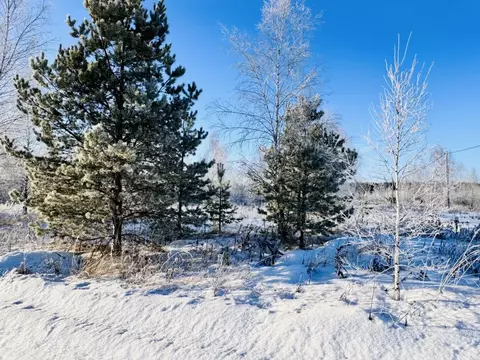 Участок в Владимирская область, Киржачский район, Першинское ...
