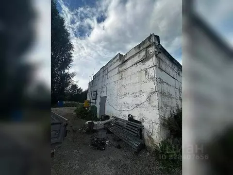 Помещение свободного назначения в Челябинская область, Миасский ...