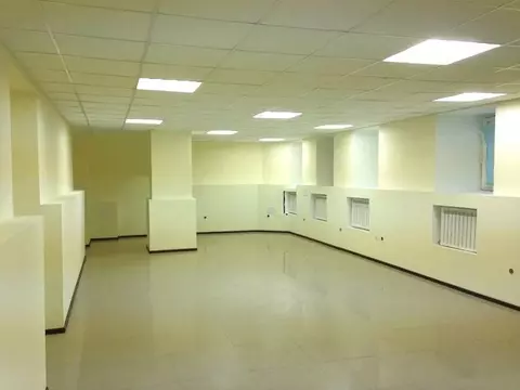 Помещение свободного назначения в Санкт-Петербург просп. Большой ...