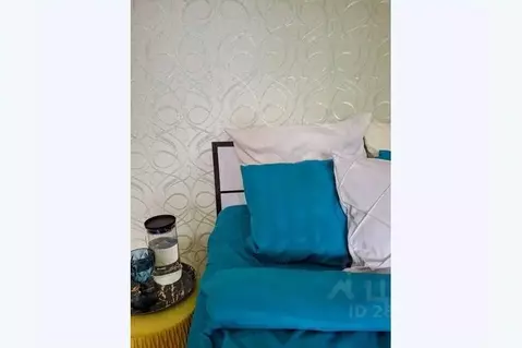 1-к кв. Алтайский край, Рубцовск ул. Дзержинского, 3 (10.0 м)