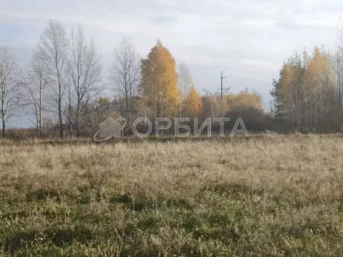 Участок в Тюменская область, Тюменский муниципальный округ, с. Борки  ...