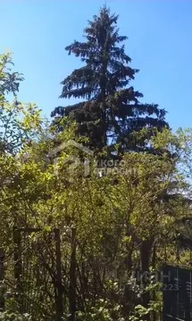 Дом в Ленинградская область, Гатчинский муниципальный округ, Кировец-2 ...