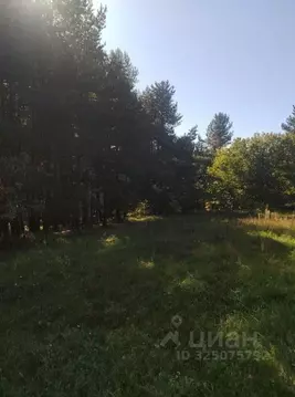 Участок в Московская область, Коломна городской округ, с. Комарево  ...