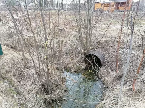 Участок в Коми, Сыктывдинский район, Выльгорт муниципальное ...