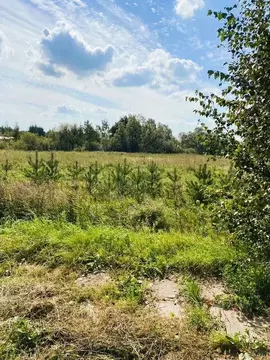 Участок в Ленинградская область, Ломоносовский район, Низинское с/пос, ...