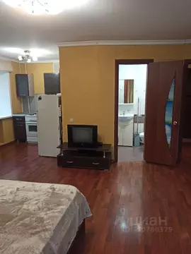 Студия Пермский край, Пермь Холмогорская ул., 5 (31.0 м)