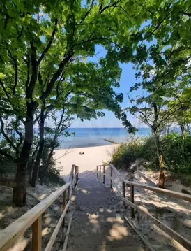 Участок в Калининградская область, Зеленоградск Волна садоводческое ...