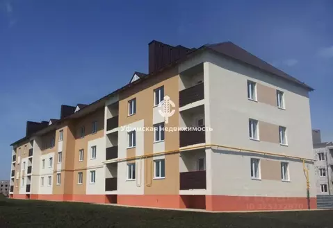 1-к кв. Башкортостан, с. Кармаскалы ул. Центральная, 2 (27.3 м)