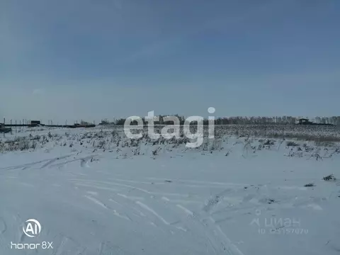 Участок в Красноярский край, Красноярск городской округ, с. Дрокино ...
